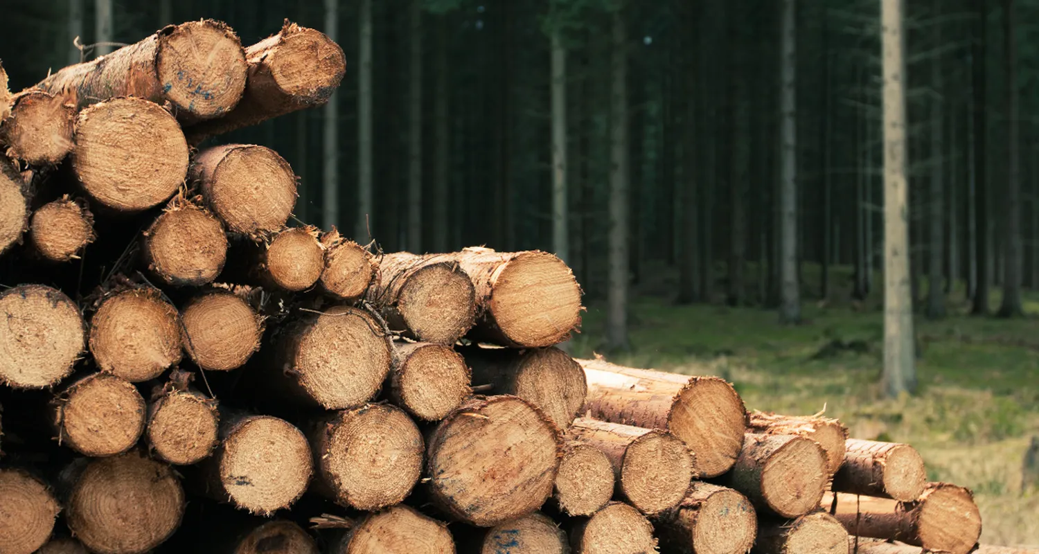 Securing leadership in remote and complex environments